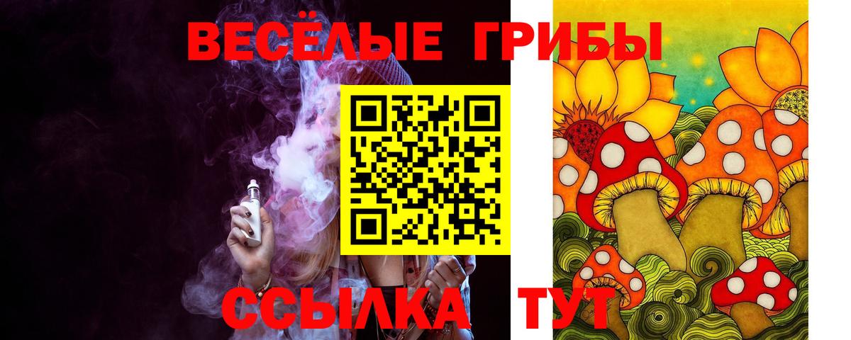 Галлюциногенные грибы Cubensis  как найти   Великий Новгород  Вход с VPN 